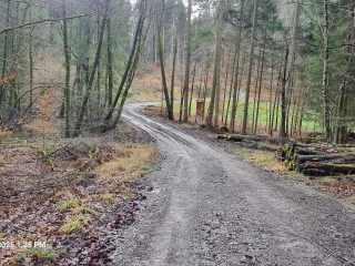 2025 Weg Klosterrucken Vorher